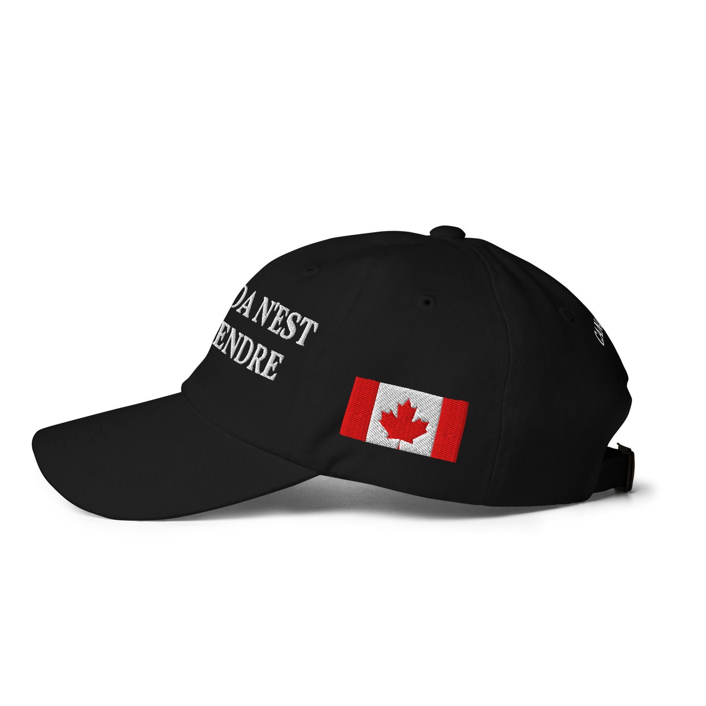 Le Canada n'est pas à vendre, 1867 chapeau de Doug Ford