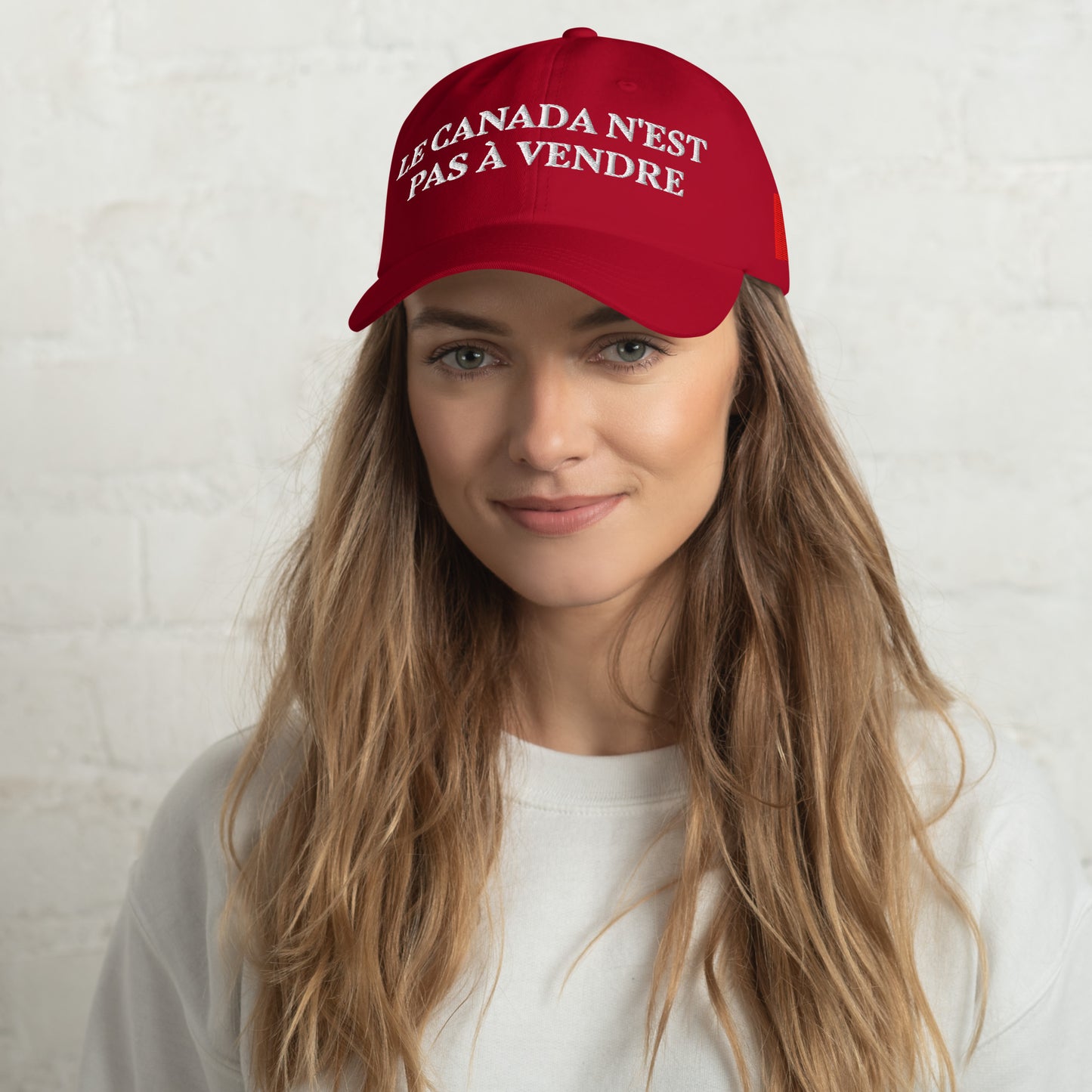Le Canada n'est pas à vendre, 1867 chapeau de Doug Ford