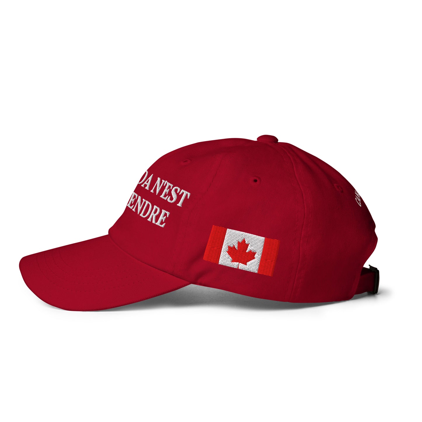 Le Canada n'est pas à vendre, 1867 chapeau de Doug Ford