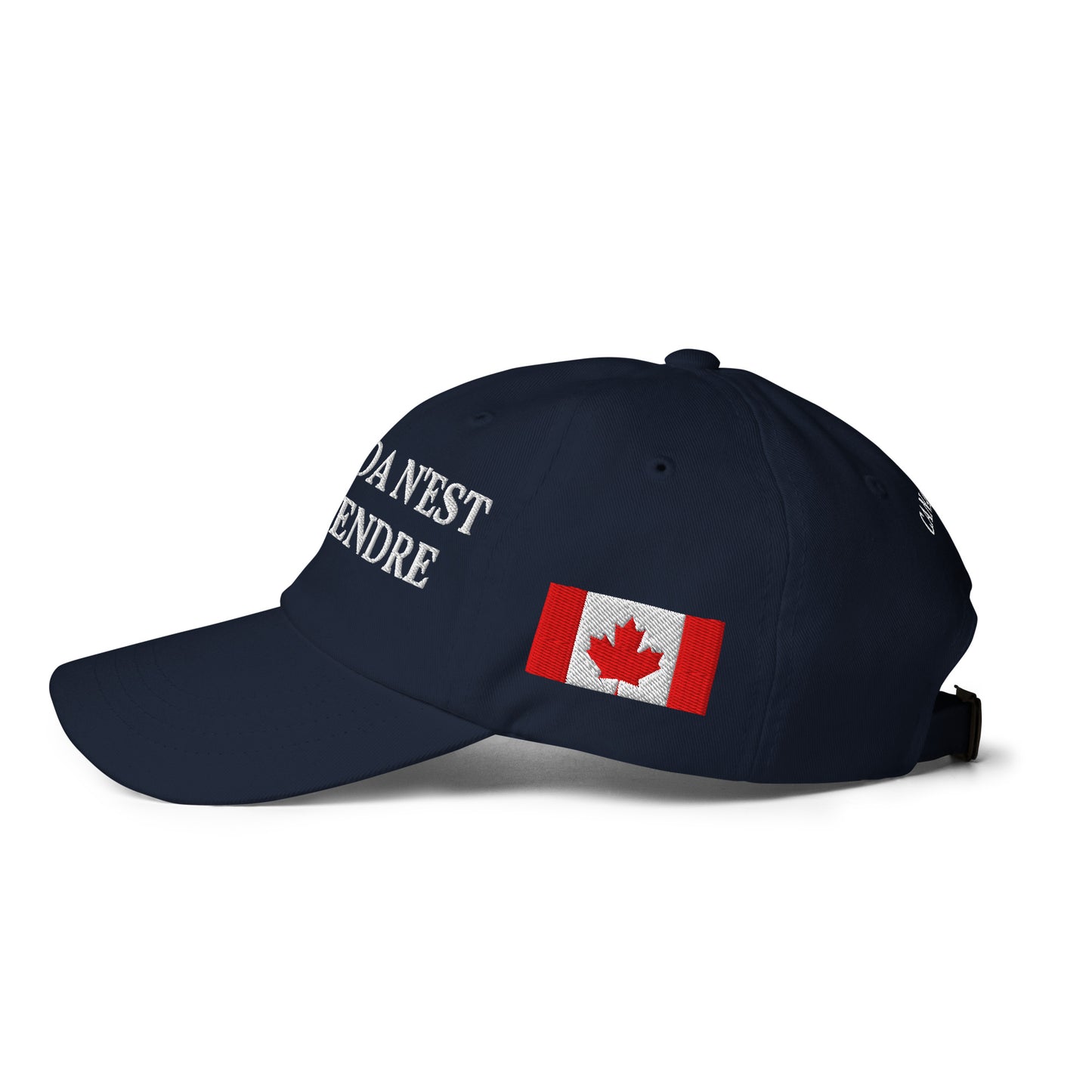 Le Canada n'est pas à vendre, 1867 chapeau de Doug Ford